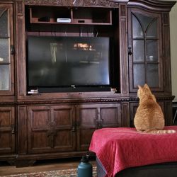 TV Entertainment Center 