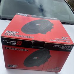 10in Subwoofer