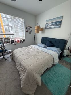 Selling Bed Frame - Downsizing