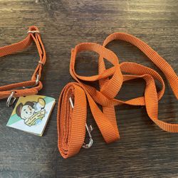 Dog Collar And Leash Never Used