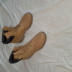 Size12 Timberlands