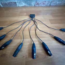 Shorty Analog Pro Audio LA DB25 to Mic-Female XLR Snake Cable | Made from Mogami 2932 & Neutrik