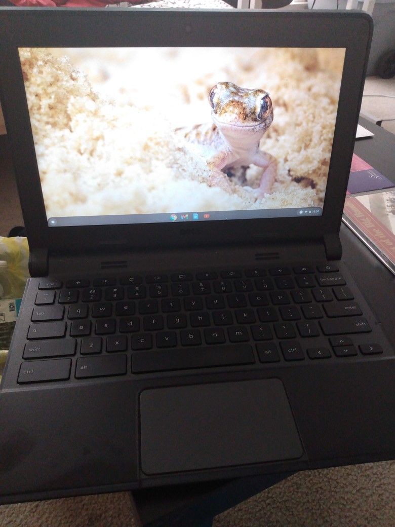 Dell Chromebook Laptop