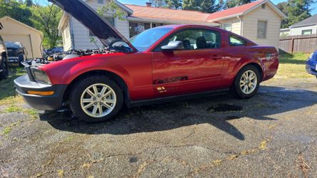 2005 Ford Mustang