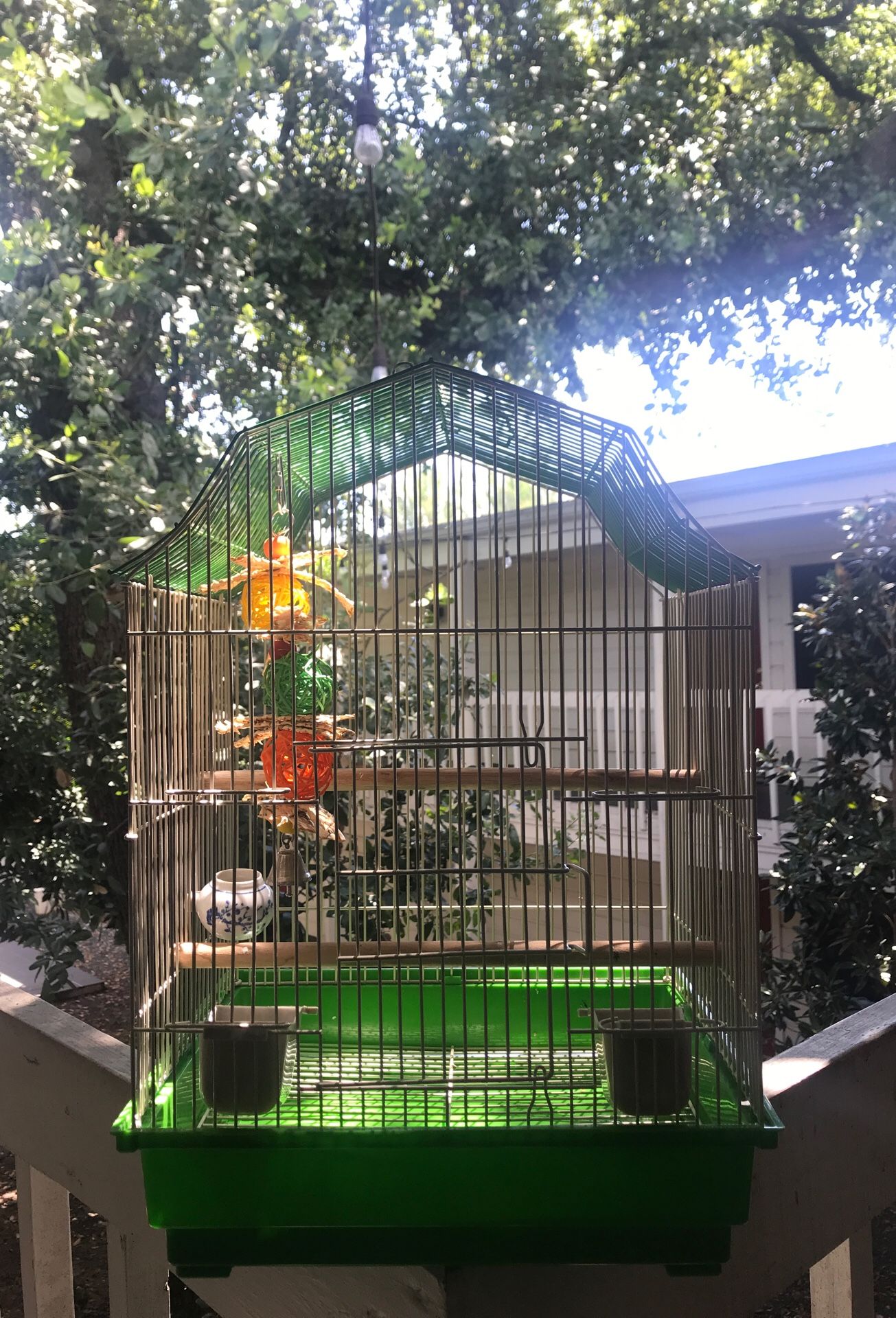 Bird cage with toy