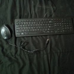 Dell Keyboard And Logitech Mouse 