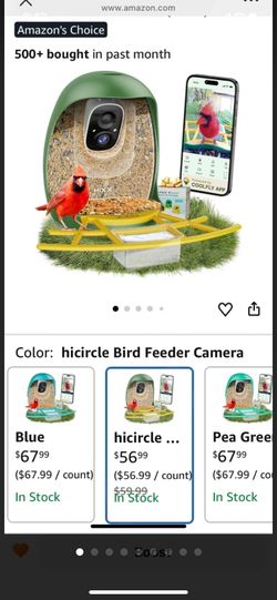 hicircle bird feeder camera.