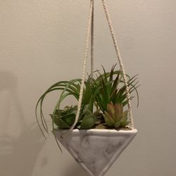 Fake Succulent Plant 