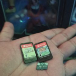 Nintendo Switch Game ND SD Card $100