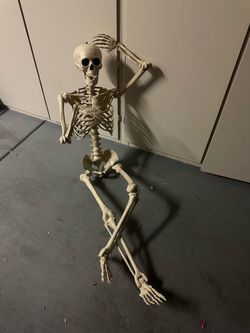 6ft posable skeleton Halloween decor movable funny all year round