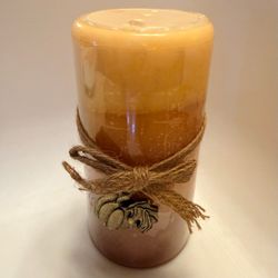 Pier 1 Imports Pumpkin Spice Scented Pillar Candle 3” x 6” 70 Hr Burn Retired