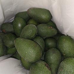 Big Avocados 1$