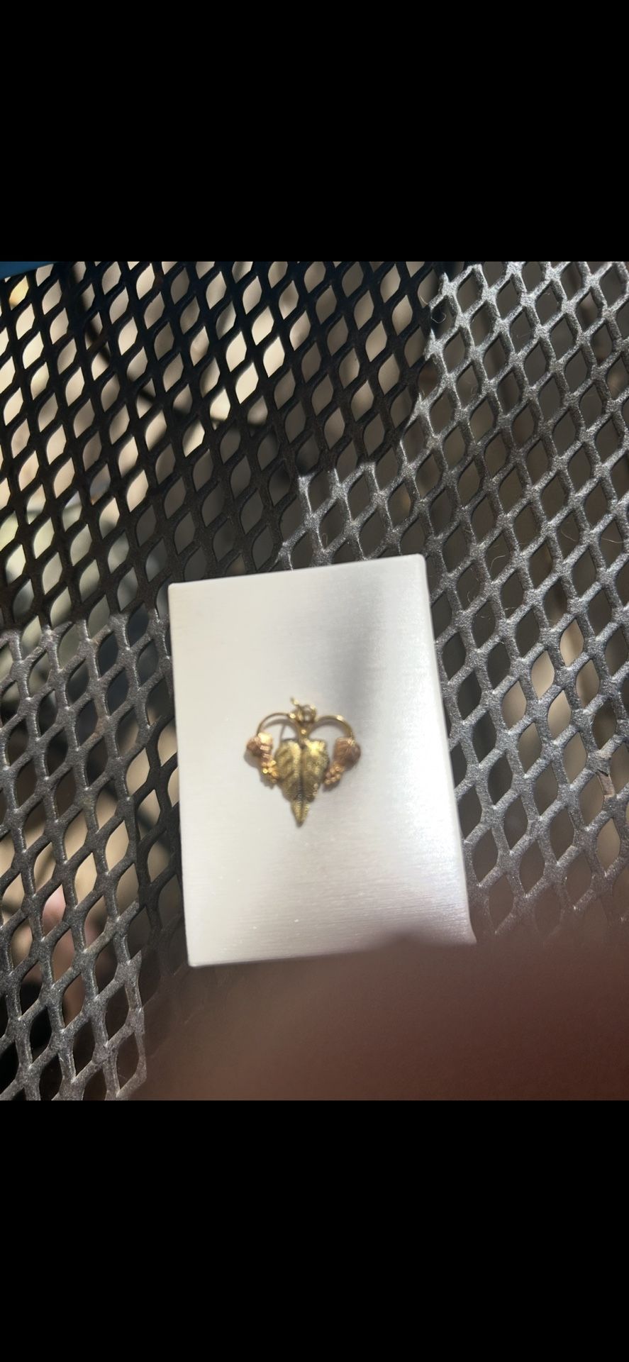 Gold Chain And Vintage 14K Yellow and Pink Gold Pendant in Grape and Leaf Motif