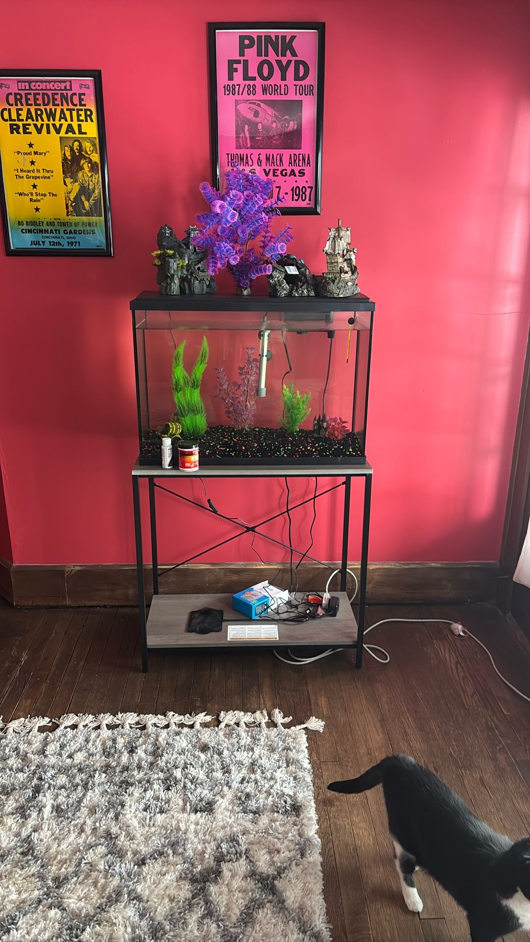 Fish Tank And Accessories 