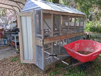 Chicken Coops