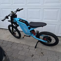 freego e bike