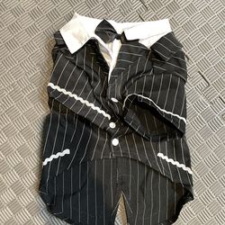 Dog Tuxedo