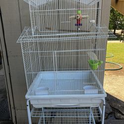Bird Cage 