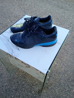 Blue Pumas