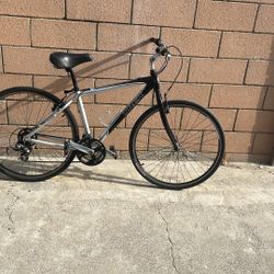 Trek Bike 