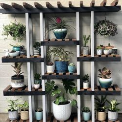 Beautiful Multi-Tier Pergola Style Plant Stand For Potted Plants!