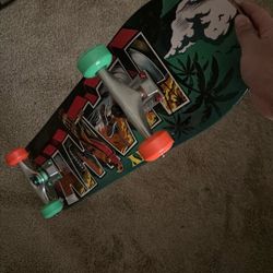 Tony Hawk Skateboard