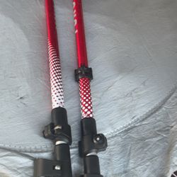 Yukon Two trucking walking sticks read new