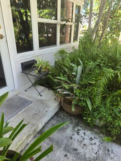 Potted plants patio tables