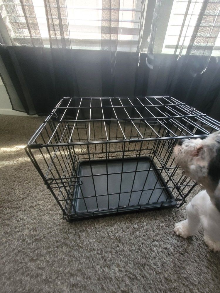 Small Dog Crate