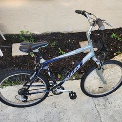 Specialized Expedition Beach City Bike