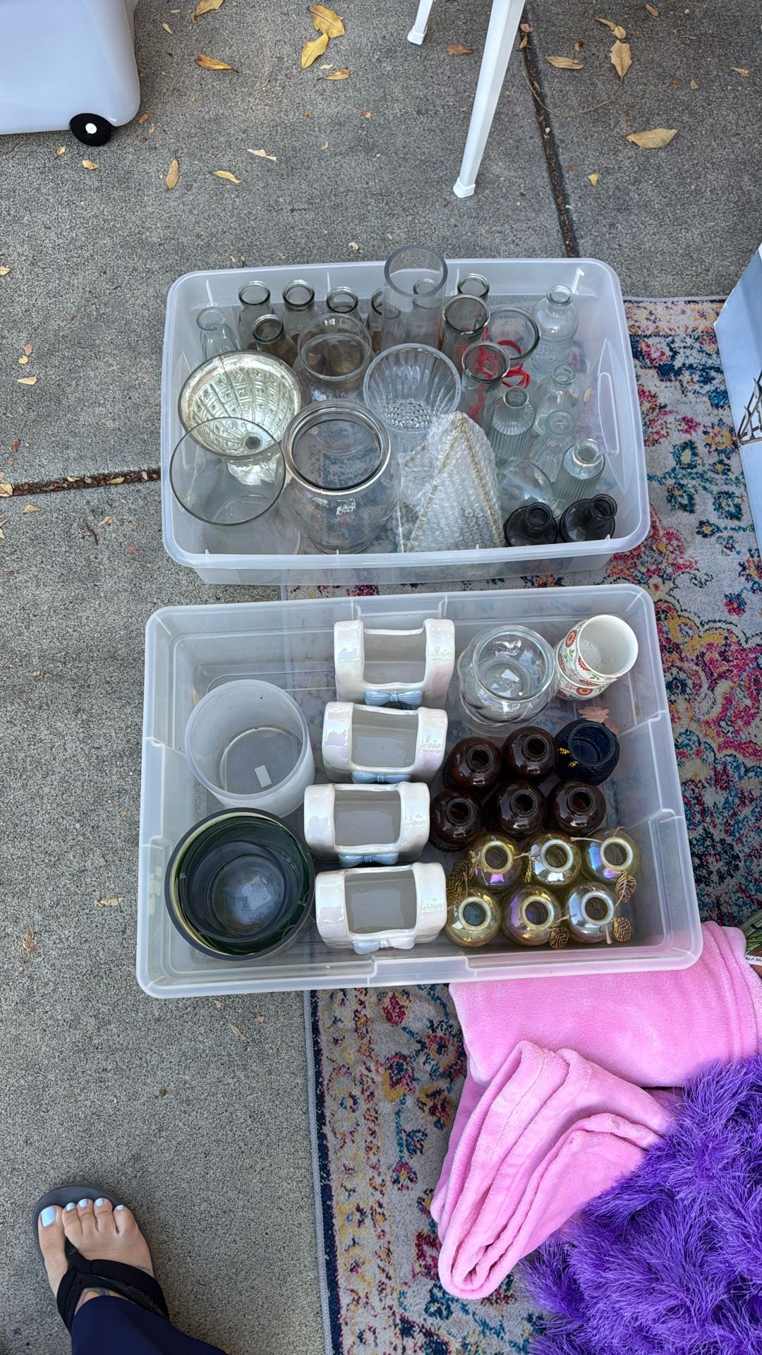 Glass Vases