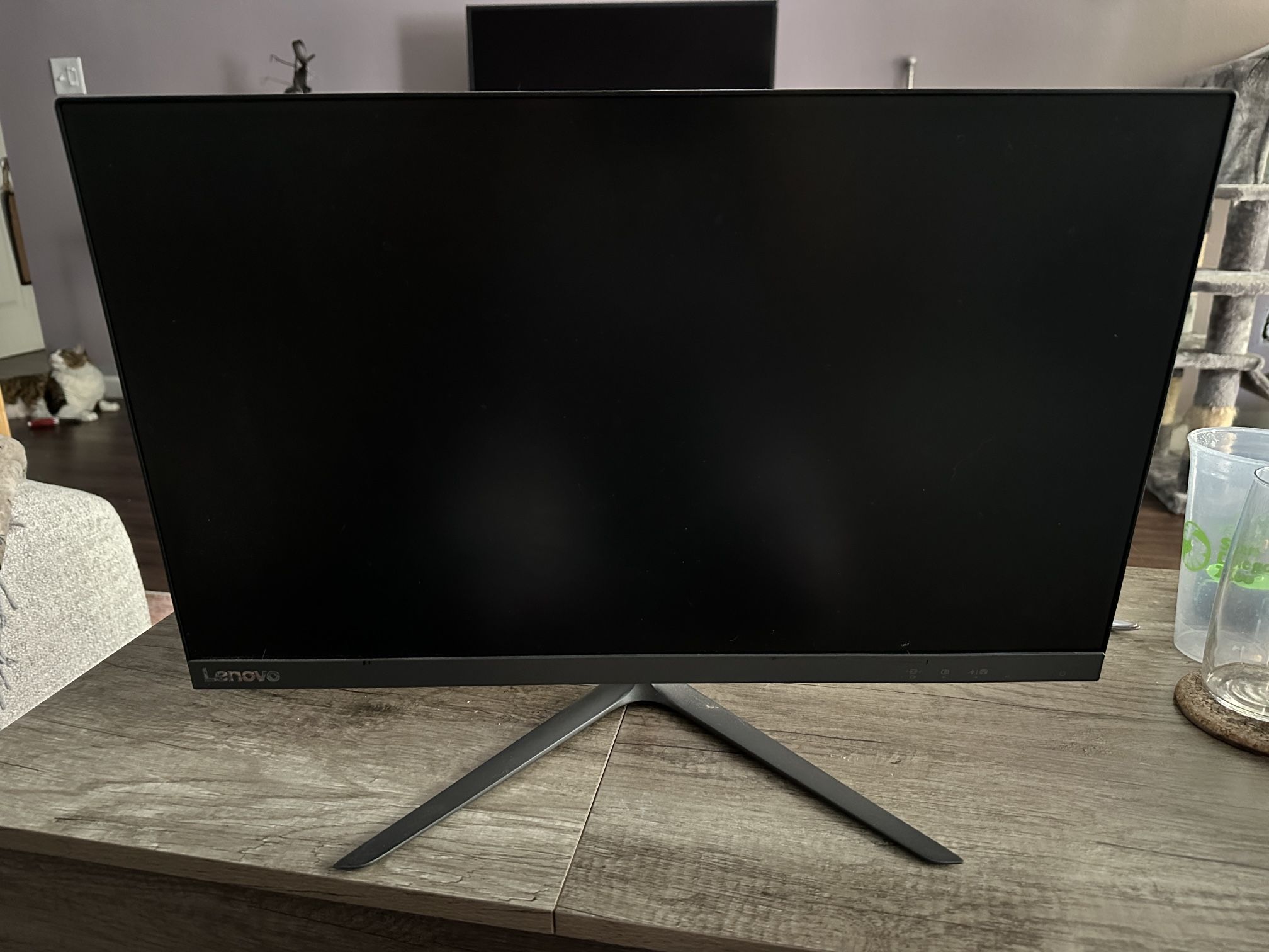 Computer Monitor