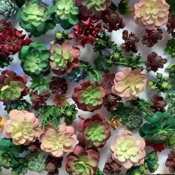 25 Pieces Of Fake Succulent . Artificial Plants Mix And Match