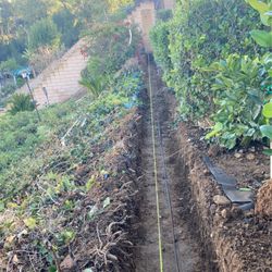 Soil