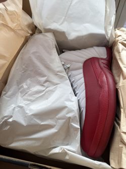 Jordan 12 Men’s 13