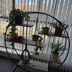 Plant Shelf 