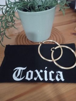 Brand New Make up Bag and Earrings