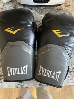 Boxing Glove Bundle - Everlast 16oz & TiGear Training Gloves