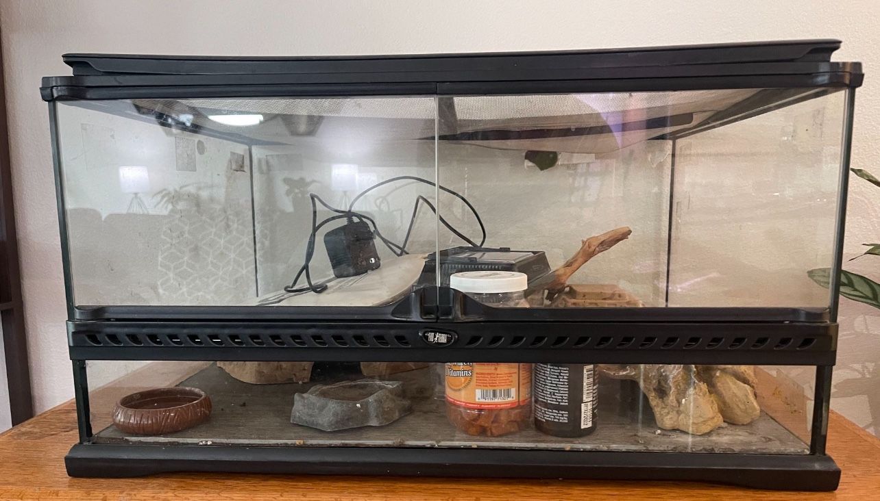 Reptile Enclosure