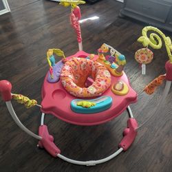 Baby Bouncer  fisher-price