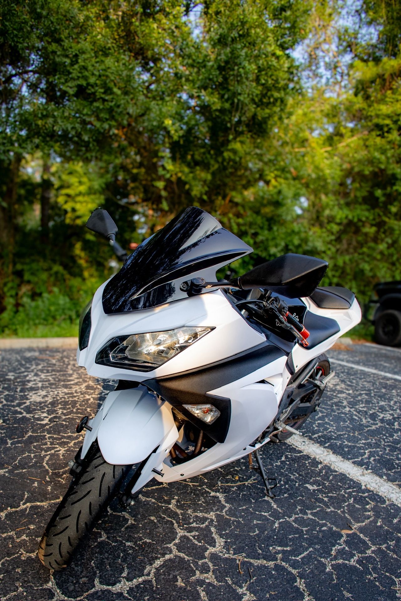 2014 Kawasaki Ninja 300 SE