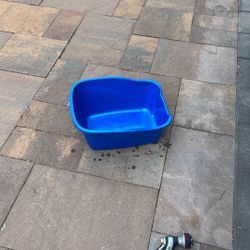 Free Cat Litter Tray