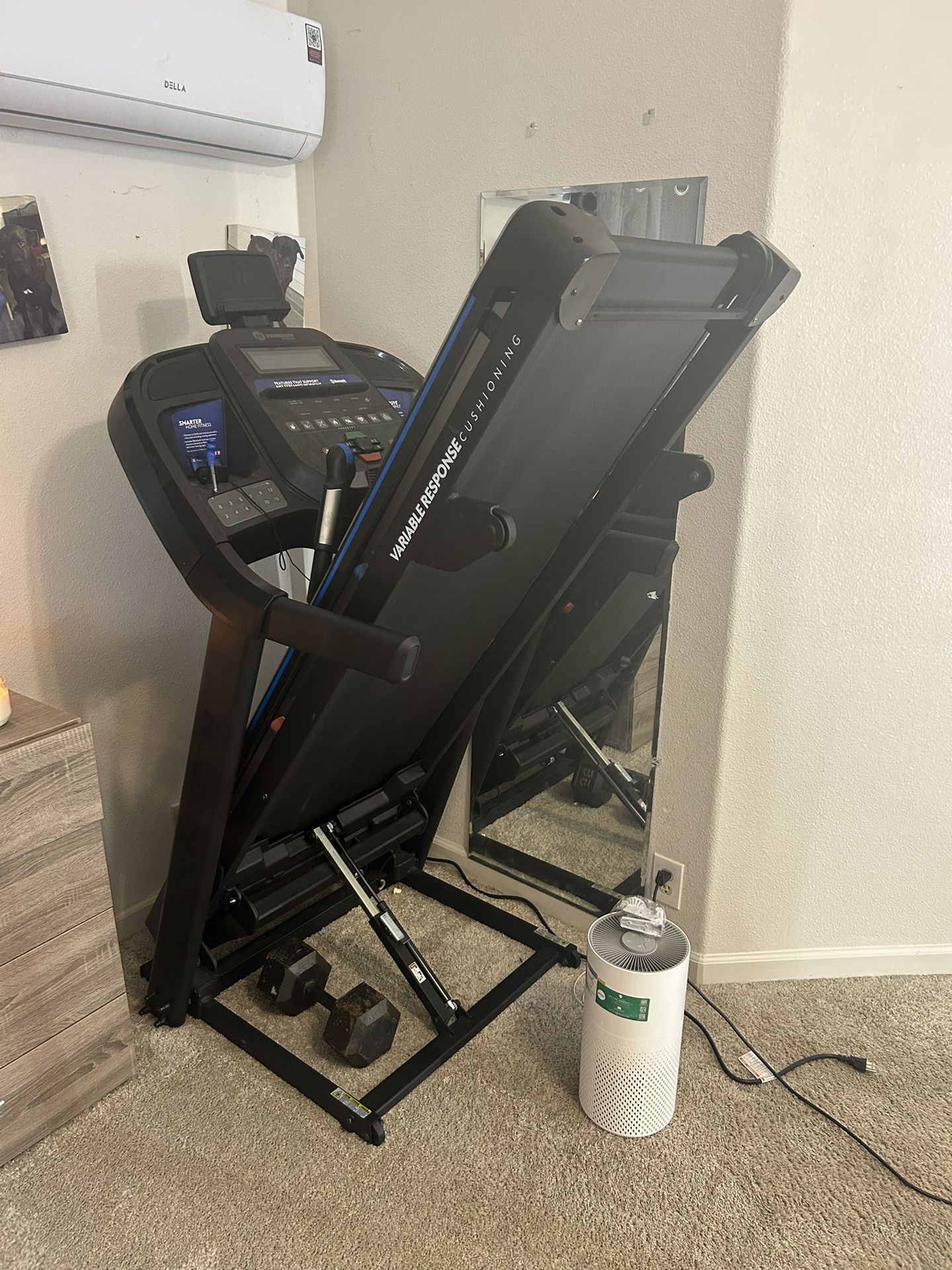 Treadmill Horizon