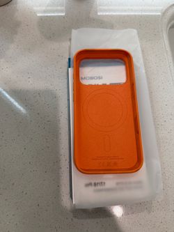 Apple iPhone 17 case