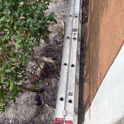 Ladders  Good Shape 