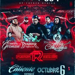 11 TICKETS FUERZA REGIDA CONCERT - SUITE 