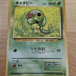 Japanese Caterpie Pokémon 
