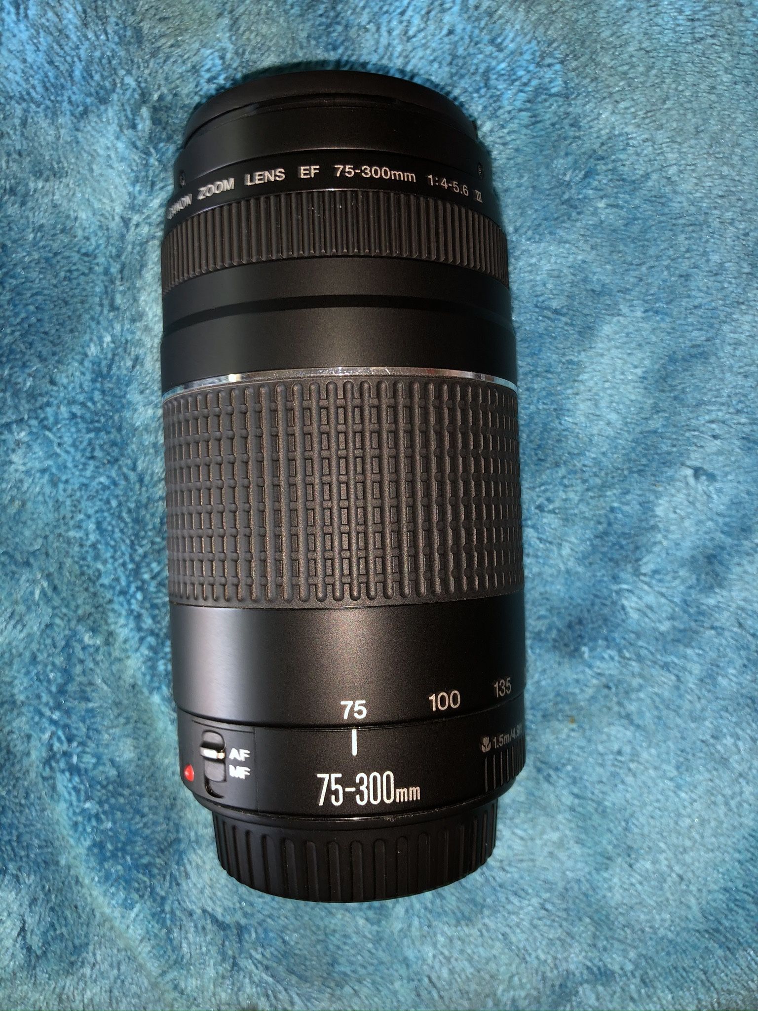 Canon 75-300 Lens