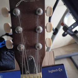 Johnson 6 String Guitar