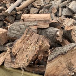 Dry Almond Firewood 🪵 